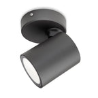 Colombe LED Outdoor Spotlight