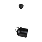 Angle Pendant Light