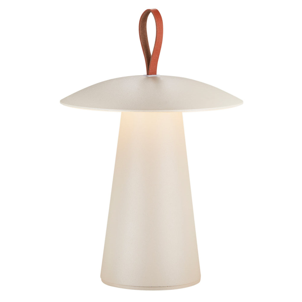 Ara To-Go 2 Rechargeable Table Lamp