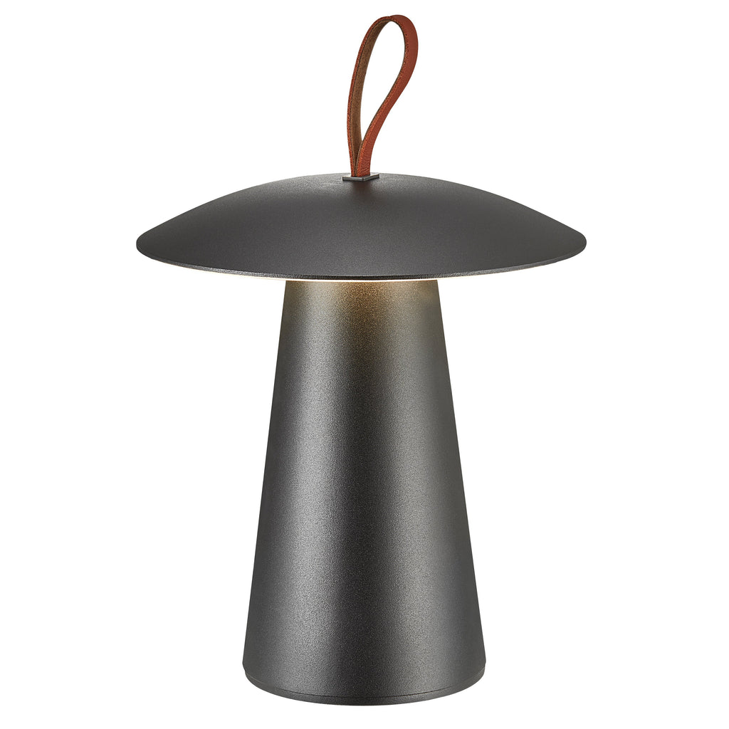 Ara To-Go 2 Rechargeable Table Lamp