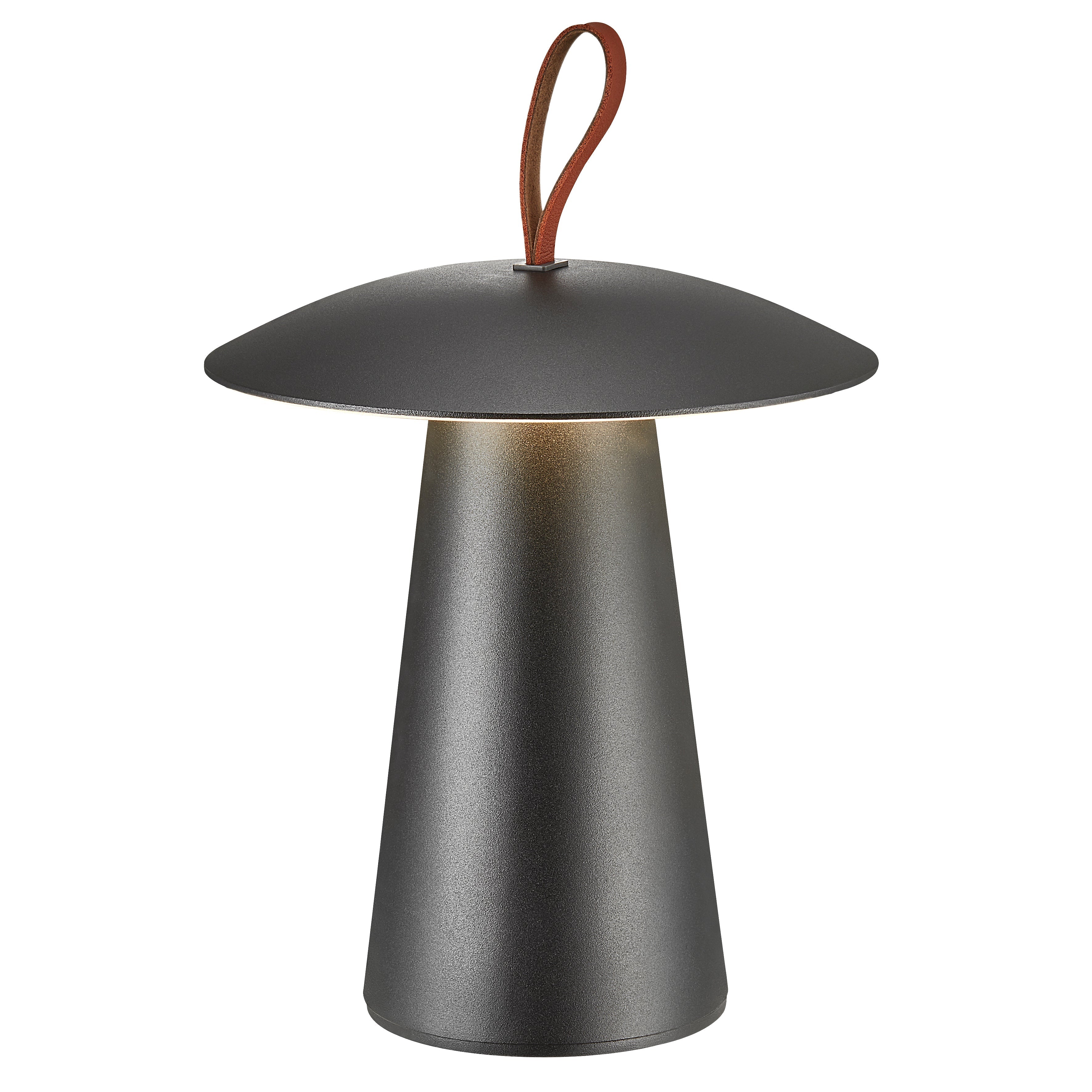 Ara To-Go 2 Rechargeable Table Lamp