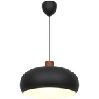 Black pendant light with wooden accent on a white background
