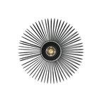 Beroni Wall/Ceiling Light