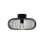 Beroni Wall/Ceiling Light
