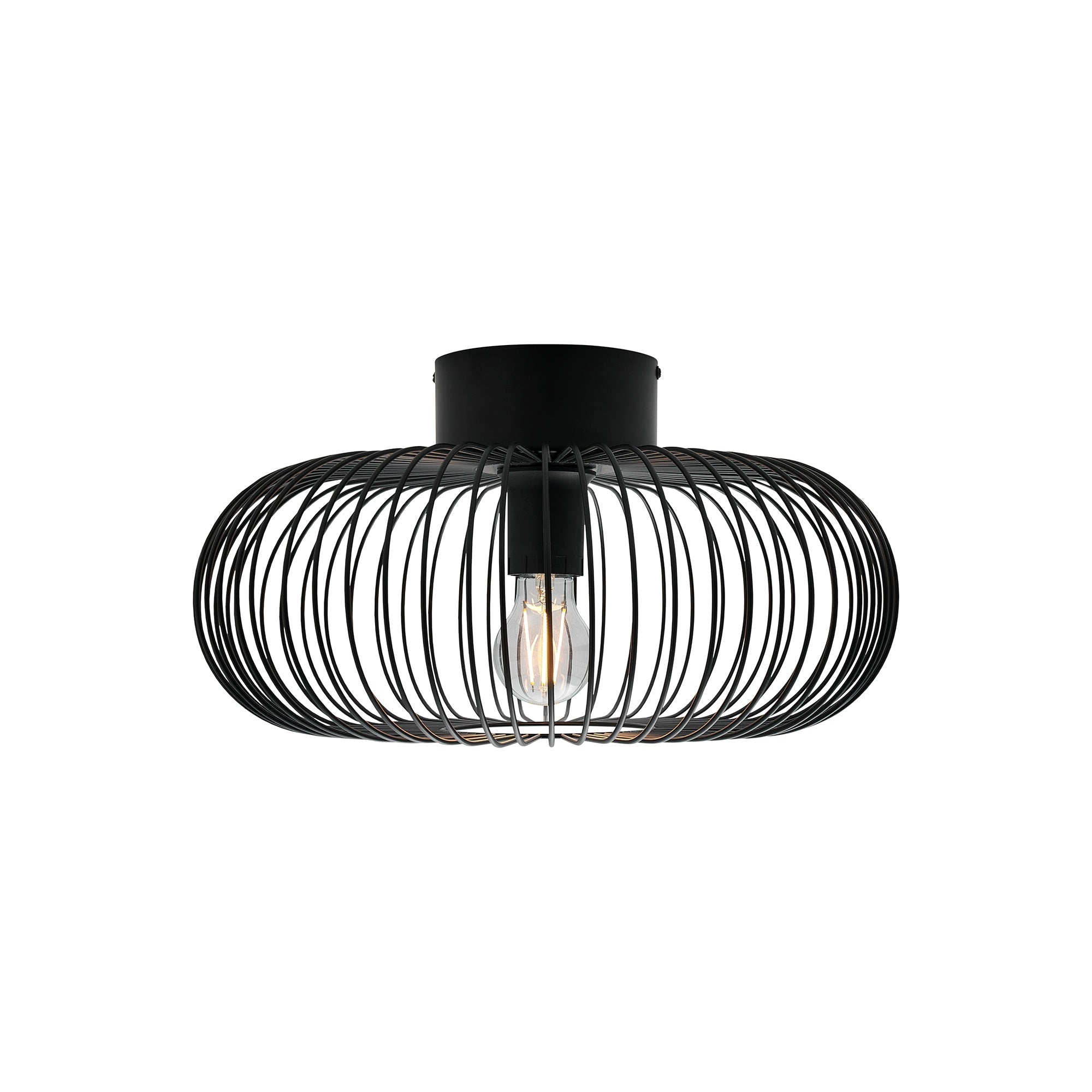 Beroni Wall/Ceiling Light