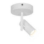 Jerome Ceiling Spotlight