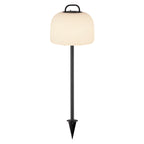 Kettle Spike Accessory