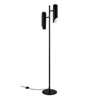 Rochelle Floor Lamp, Black