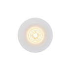 Stake LED Downlight