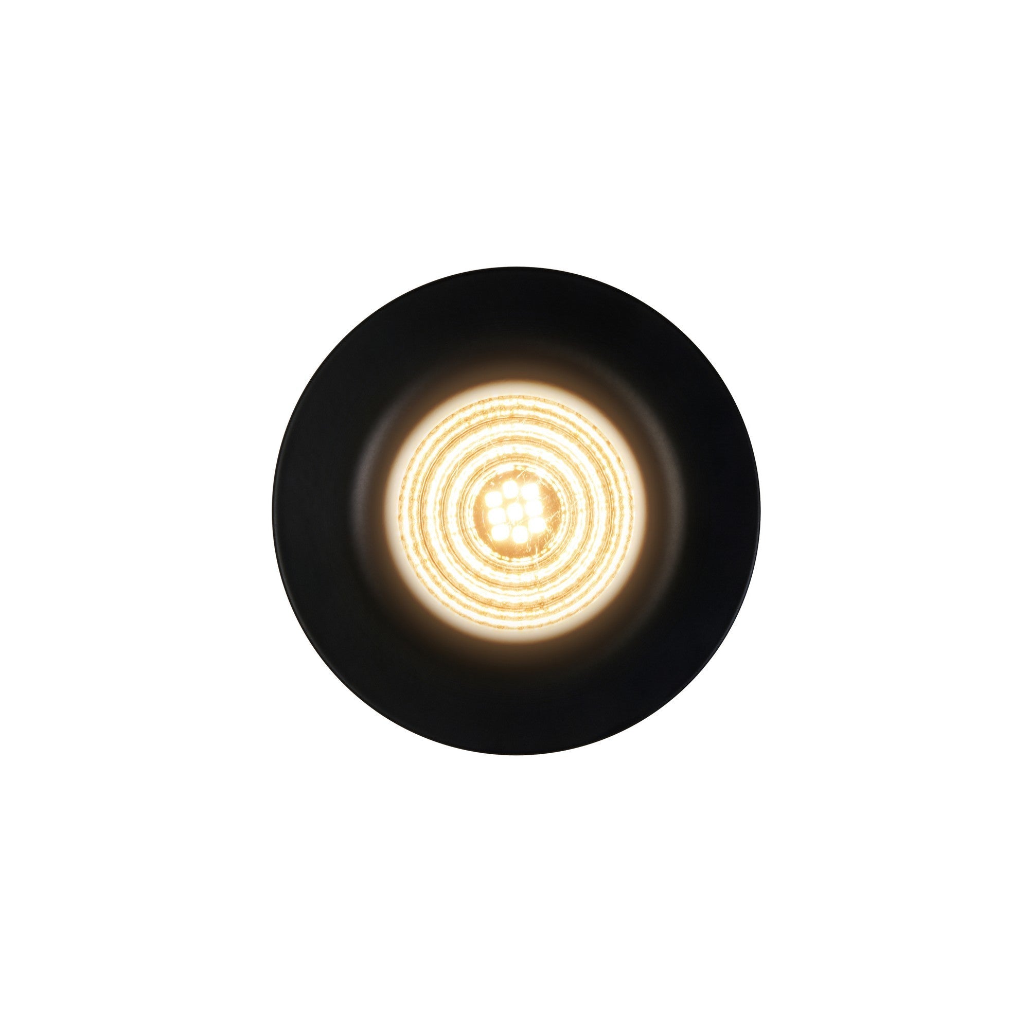 Stake LED Downlight
