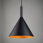 Lampsy FLR Verge Pendant Light - Black-Lampsy