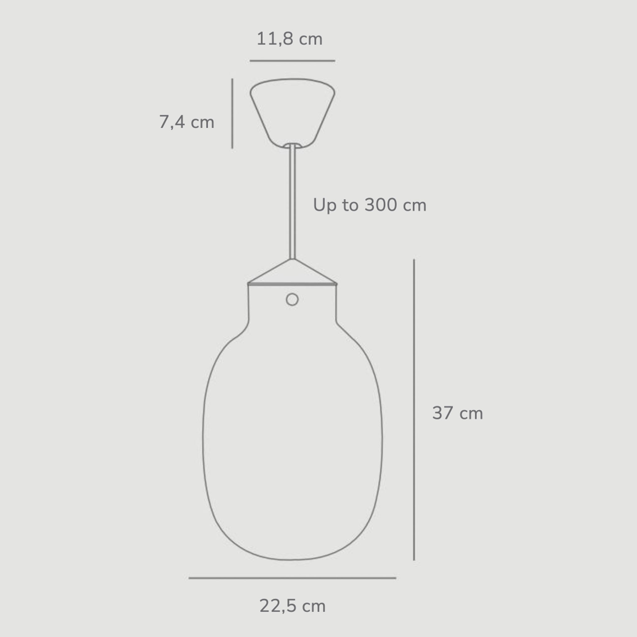 Raito 22 Oval Pendant Light