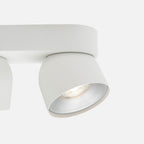Pitcher 2 Spot Ceiling Light