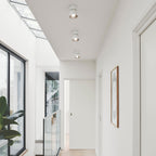 Pitcher Single Spot Ceiling Light
