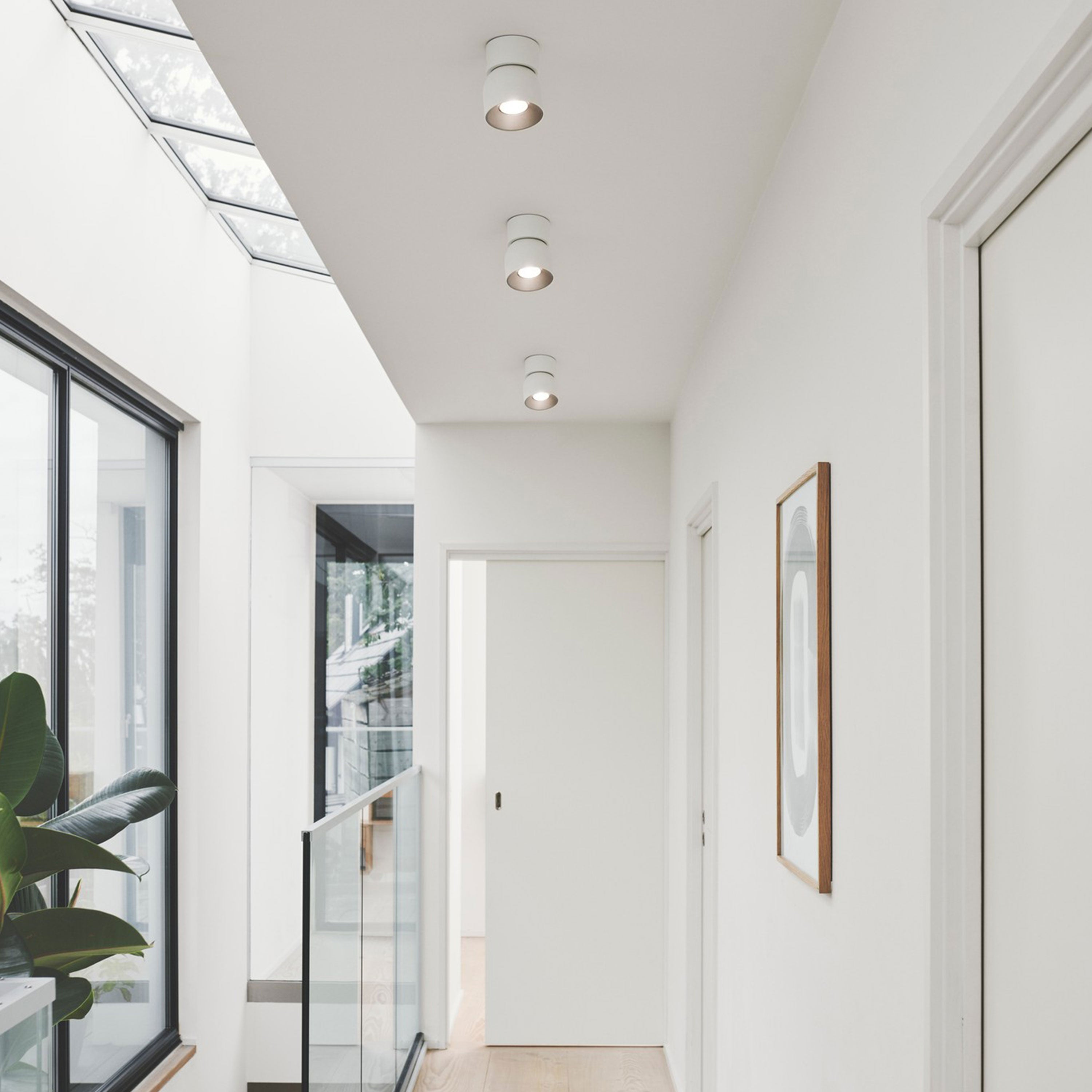 Pitcher Single Spot Ceiling Light